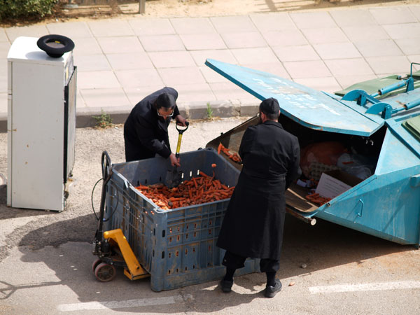 страна текущая овощами
харедим в Араде кубометрами выбрасыввают морковь в контейнер для мусора
Keywords: харедим гур ультраортодоксы город Арад ортодоксы хасиды хасидей гур